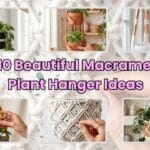 A horizontal blog cover graphic displaying a collage of handmade boho macrame plant hangers with the text "10 Beautiful Macrame Plant Hanger Ideas".