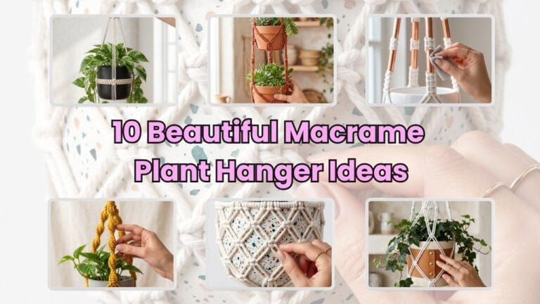 A horizontal blog cover graphic displaying a collage of handmade boho macrame plant hangers with the text "10 Beautiful Macrame Plant Hanger Ideas".